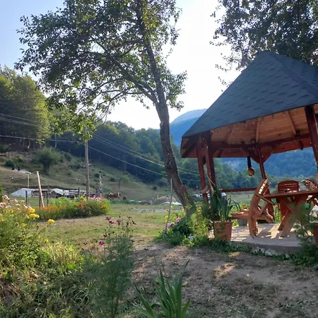 Casa de hóspedes Niko Cerem